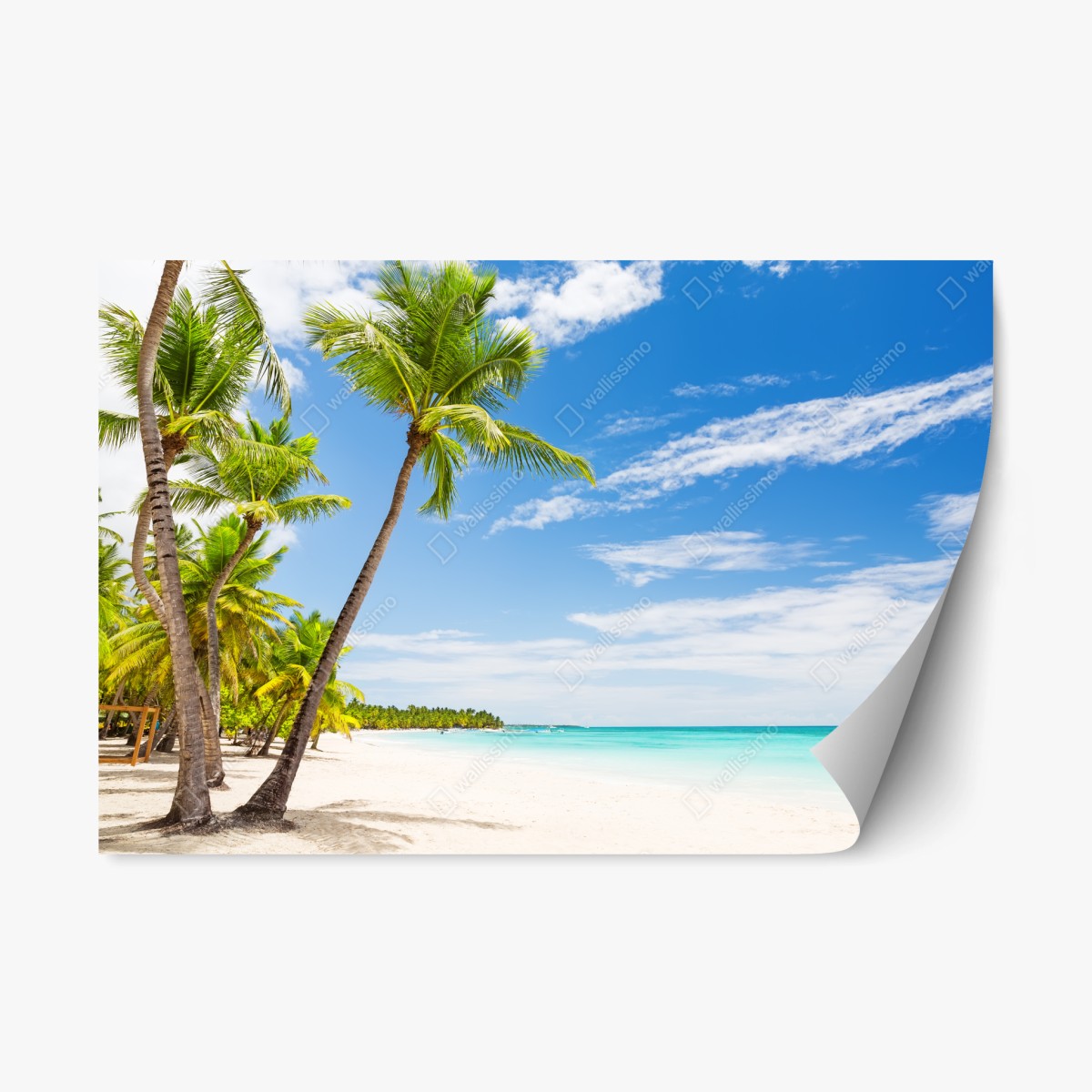 Repositionierbarer Aufkleber palmenstrand in Punta Cana – Wallnifity®