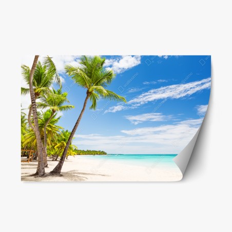 Repositionierbarer Aufkleber palmenstrand in Punta Cana – Wallnifity®