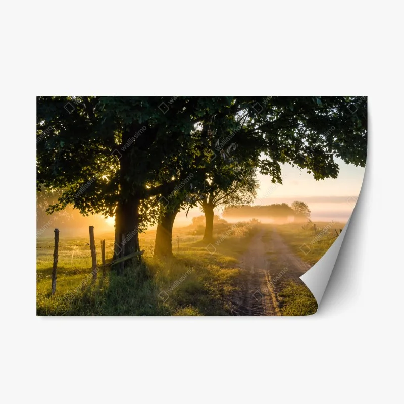 Rustikal – Wallnifity®