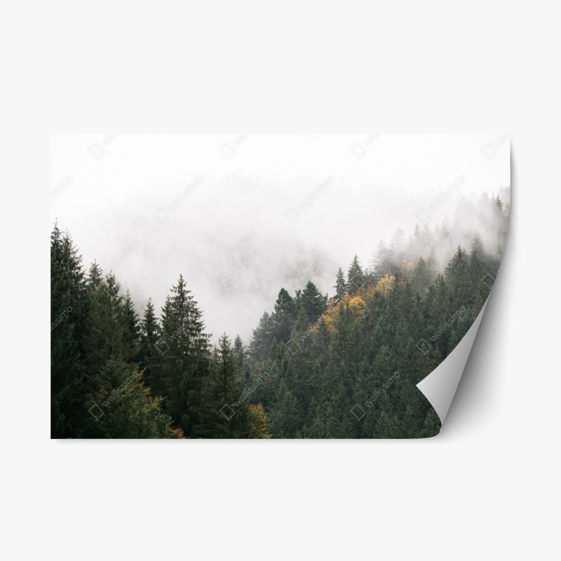 Wohnzimmer – Wallnifity®