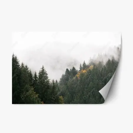 Repositionierbarer Aufkleber nebliger bergwald im dunst – Wallnifity®