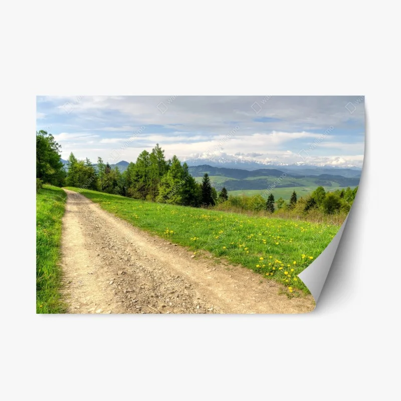 Biophil – Wallnifity®