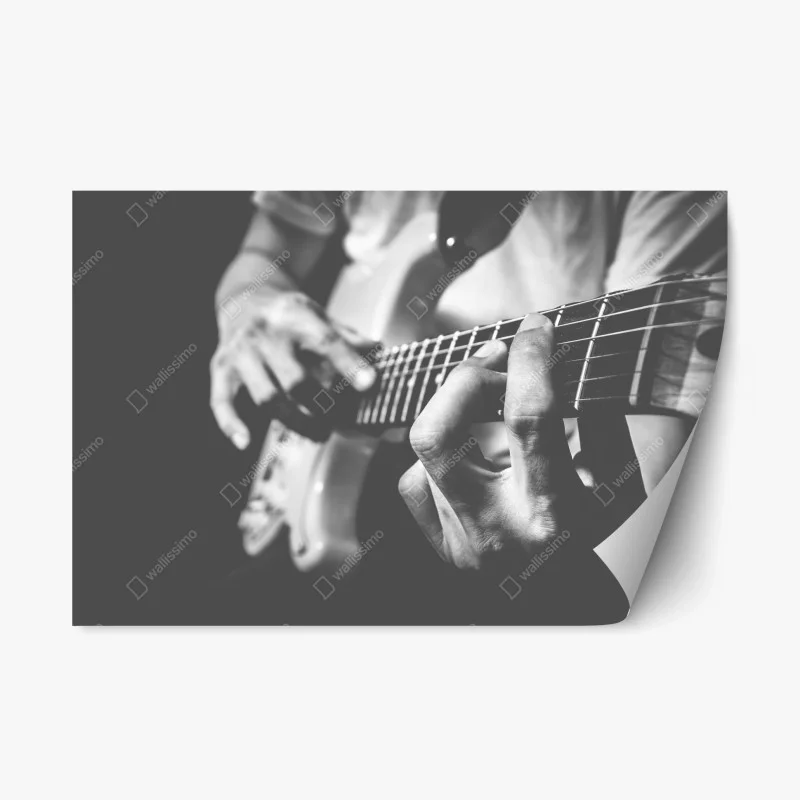 Musik – Wallnifity®