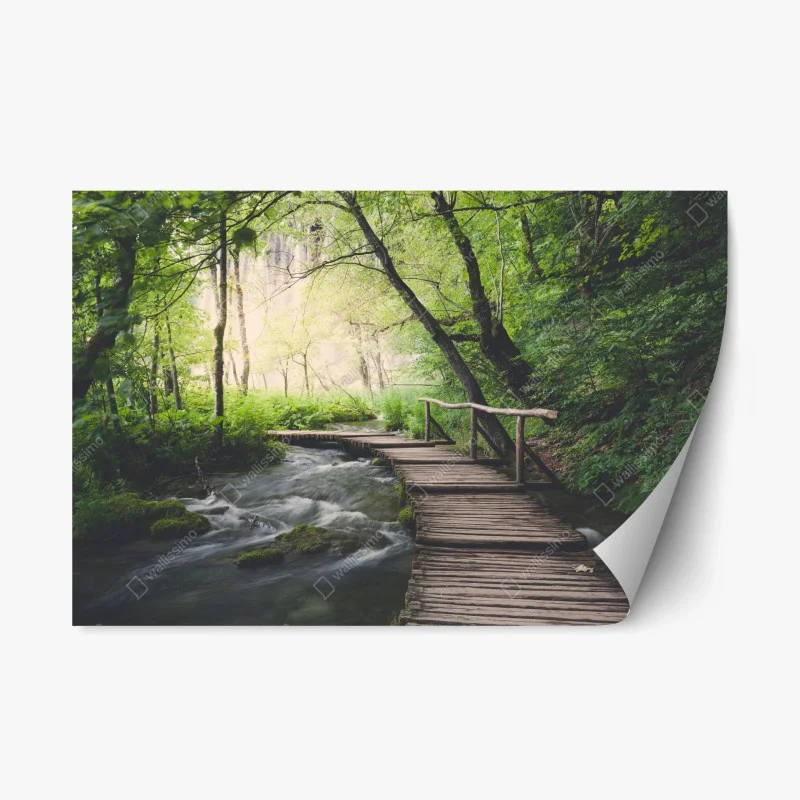 Repositionierbarer Aufkleber ruhiger hölzerner steg durch grünen wald – Wallnifity®