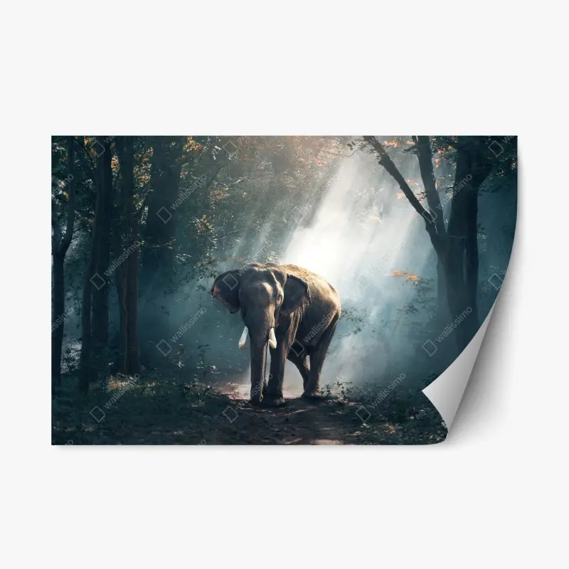 Repositionierbarer Aufkleber majestätischer elefant im sonnenlichtdurchfluteten wald