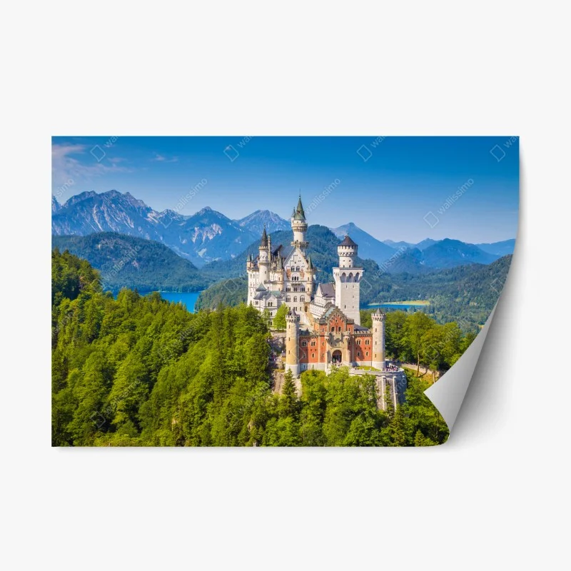 Architektur – Wallnifity®