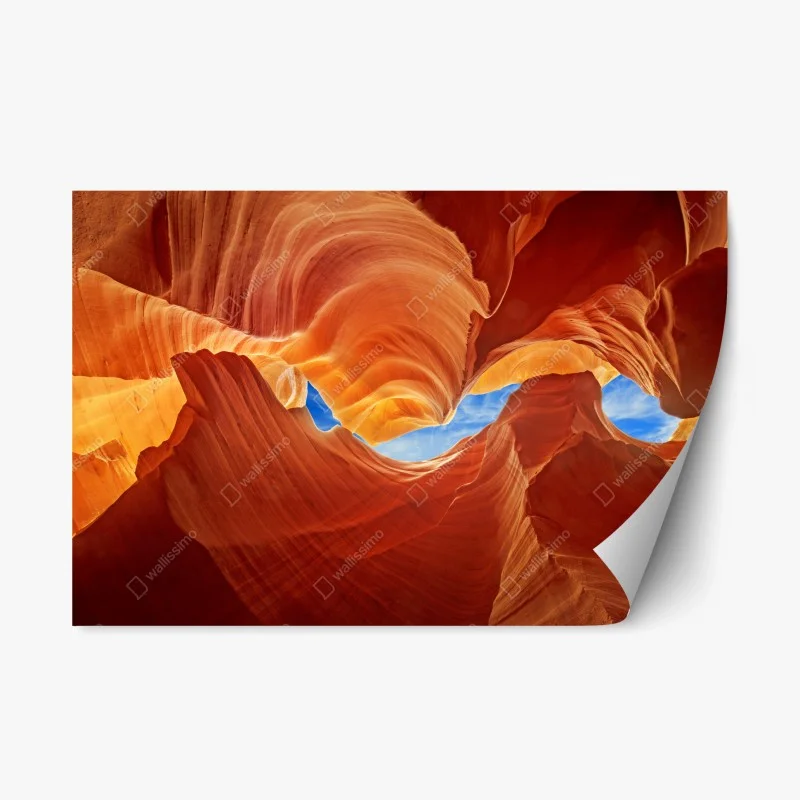 Wüste – Wallnifity®