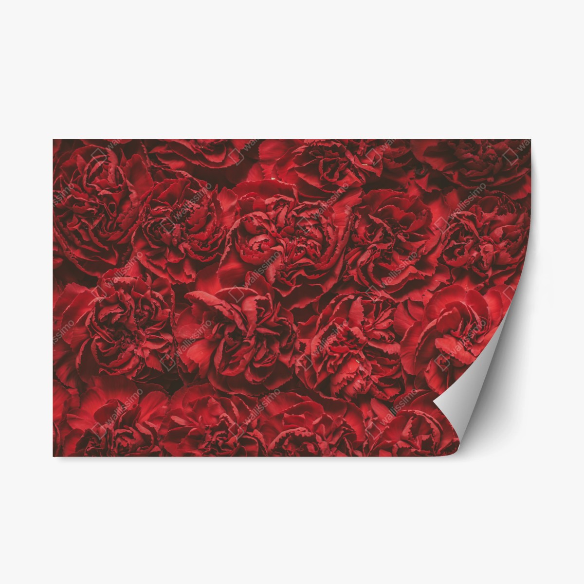 Repositionierbarer Aufkleber vintage rote nelken blumenmuster – Wallnifity®