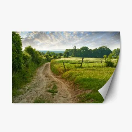 Repositionierbarer Aufkleber sonniger landweg durch grüne wiesen – Wallnifity®