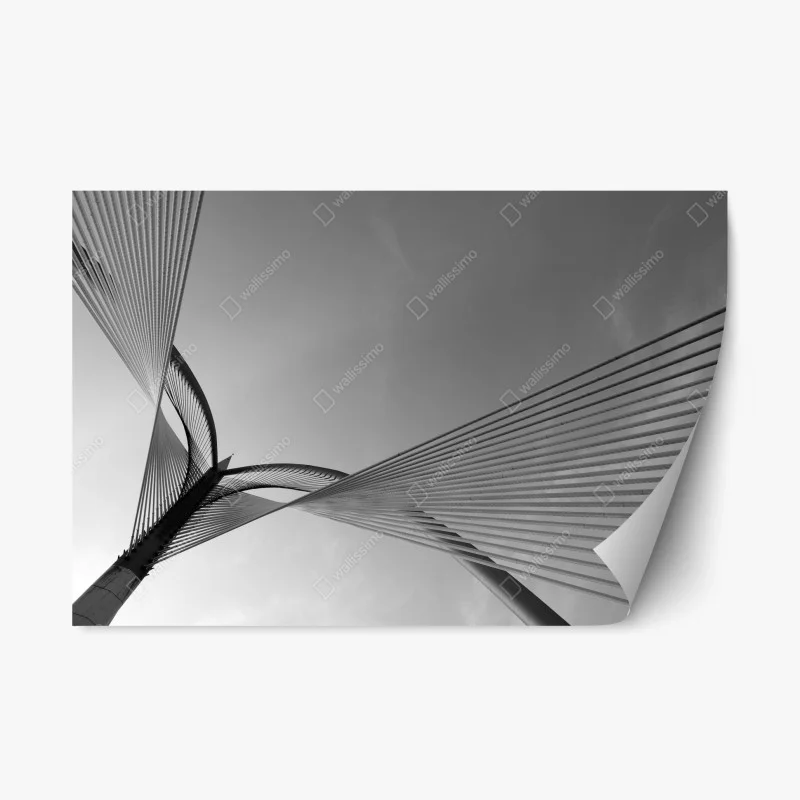 Brücken – Wallnifity®