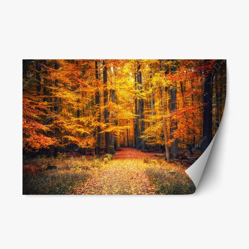 Repositionierbarer Aufkleber herbstlicher waldpfad mit goldenen blättern