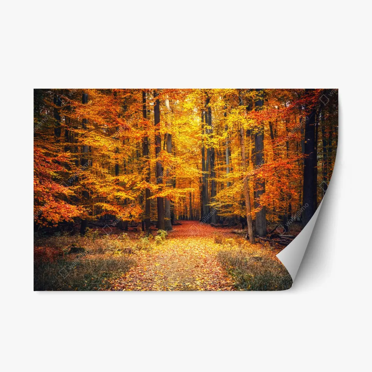 Repositionierbarer Aufkleber herbstlicher waldpfad mit goldenen blättern – Wallnifity®