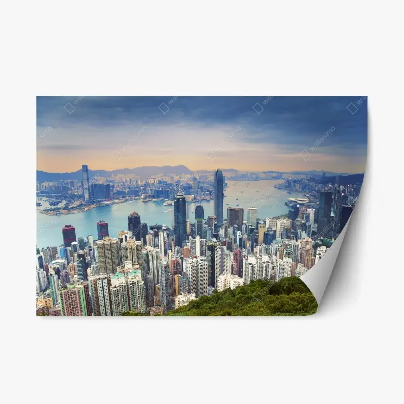 Repositionierbare Aufkleber – Wallnifity®