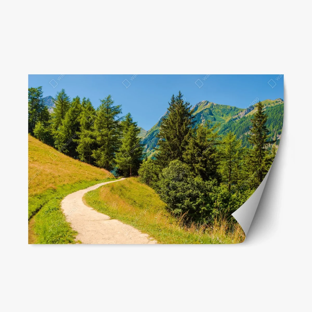Repositionierbarer Aufkleber bergweg in den Schweizer Alpen im Sommer – Wallnifity® Repositionierbarer Aufkleber bergweg in den Schweizer Alpen im Sommer – Wallnifity®