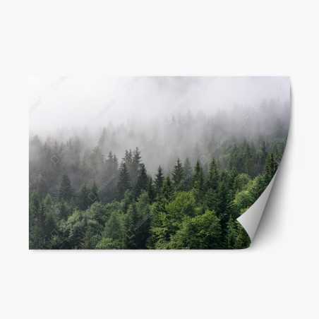 Repositionierbarer Aufkleber nebliger immergrüner wald panorama – Wallnifity®