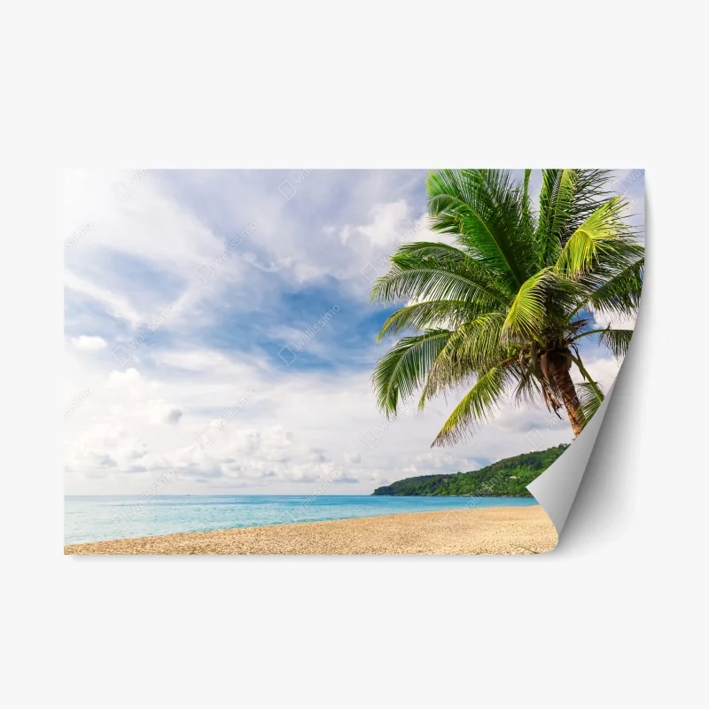 Repositionierbarer Aufkleber tropischer strand in Phuket mit palme