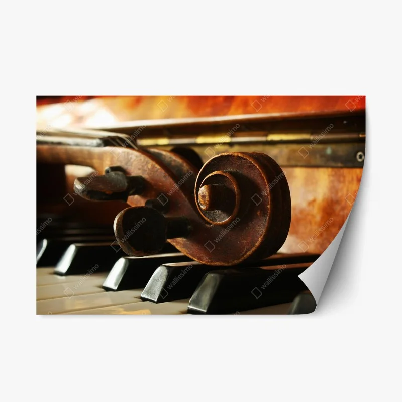 Kultur und Unterhaltung – Wallnifity®