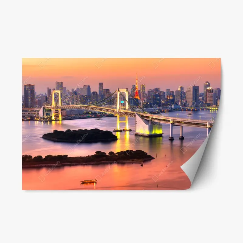 Repositionierbarer Aufkleber Tokio skyline bei sonnenuntergang