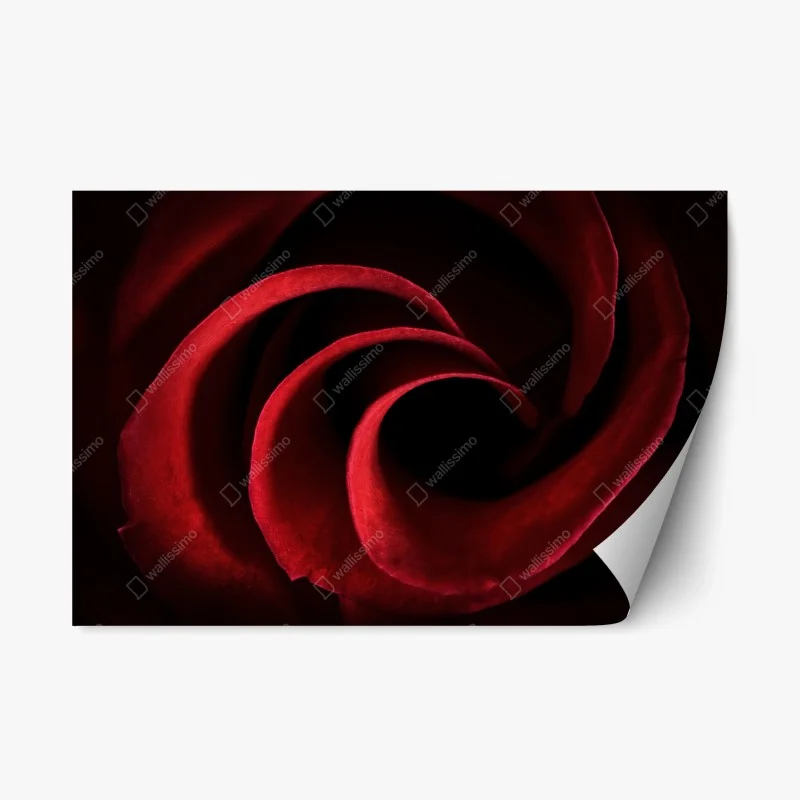 Repositionierbarer Aufkleber spirale aus tiefroten rosenblättern