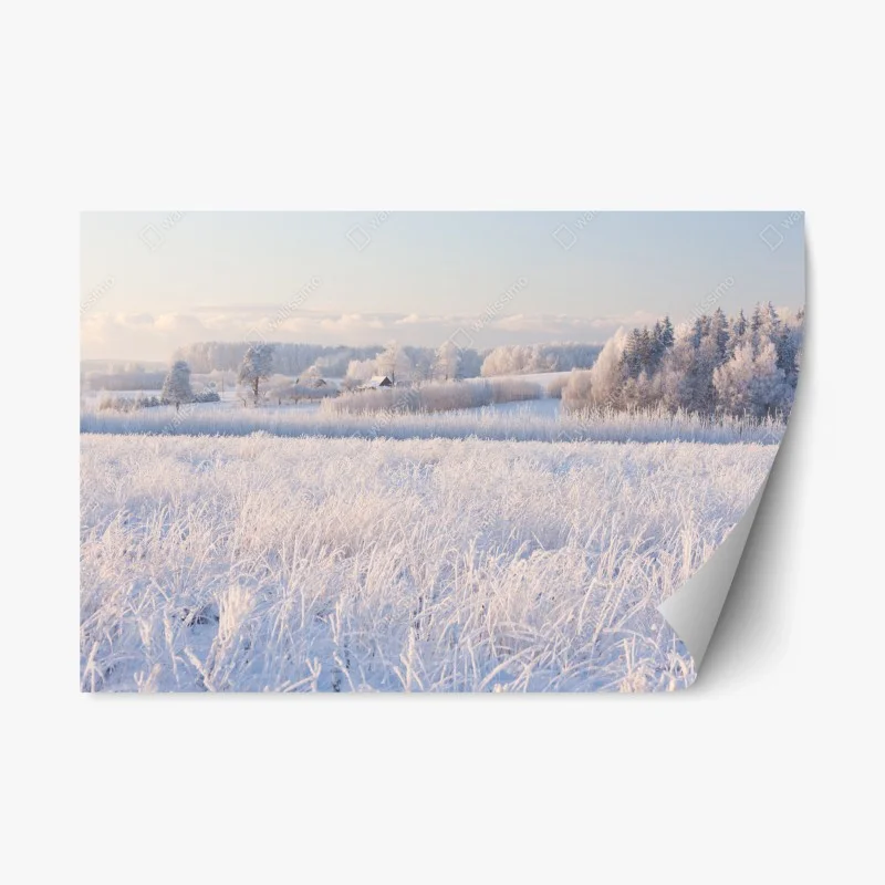 Repositionierbarer Aufkleber wiese mit reif im morgenlicht – Wallnifity® Repositionierbarer Aufkleber wiese mit reif im morgenlicht – Wallnifity®