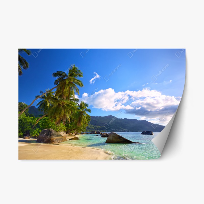 Natur – Wallnifity®