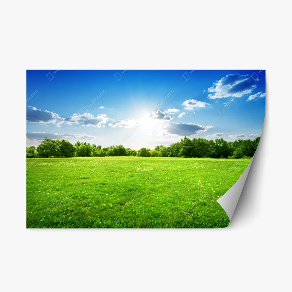 Repositionierbarer Aufkleber sonnige grüne wiese – Wallnifity® Repositionierbarer Aufkleber sonnige grüne wiese – Wallnifity®