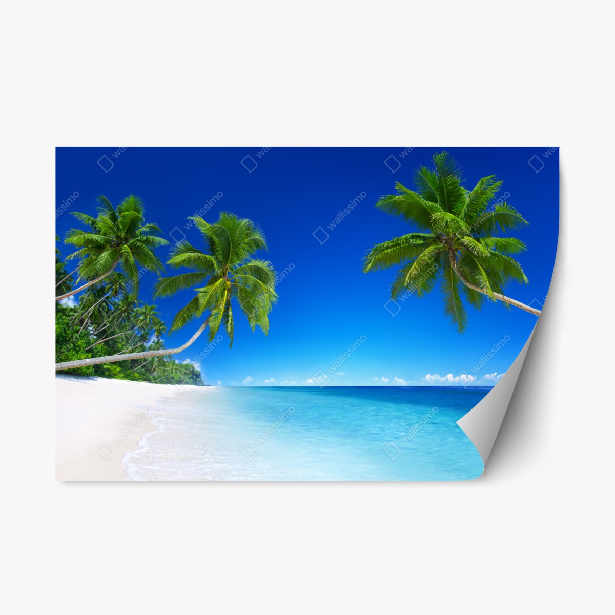Repositionierbarer Aufkleber tropischer strand mit palmen – Wallnifity®