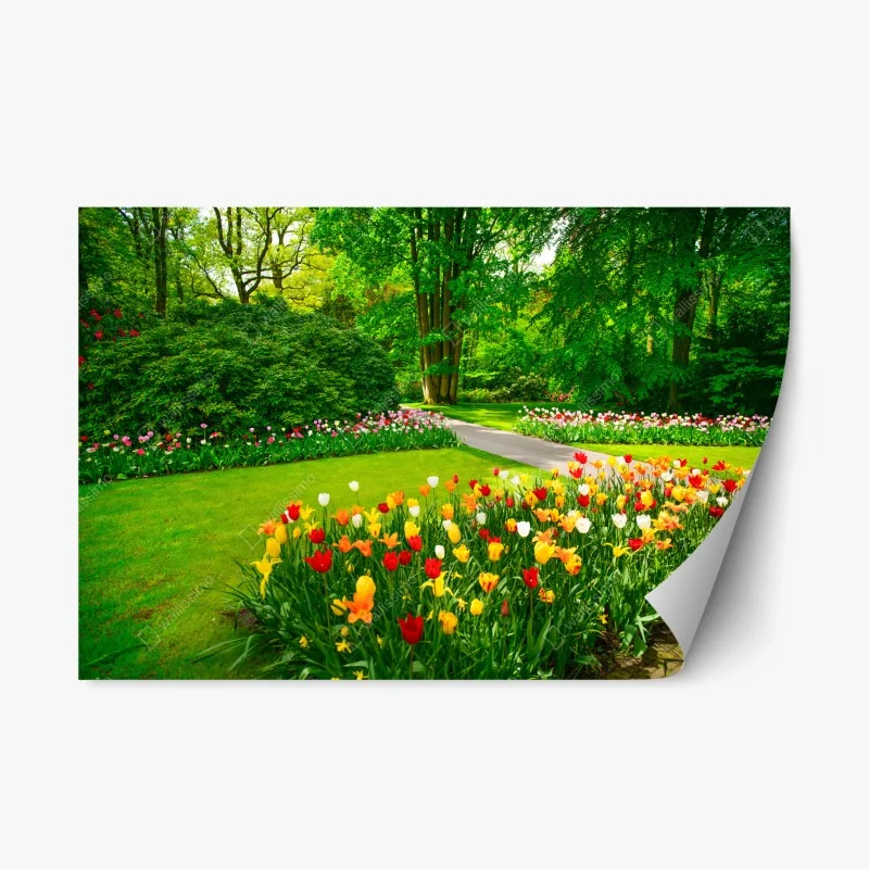 Repositionierbarer Aufkleber lebendiger tulpengarten in Keukenhof