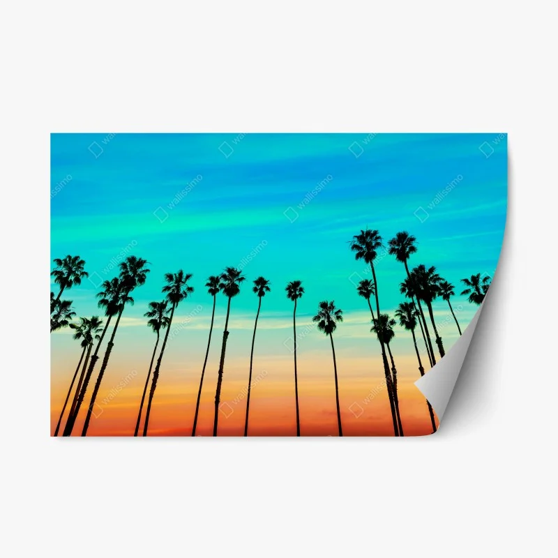 Boho – Wallnifity®