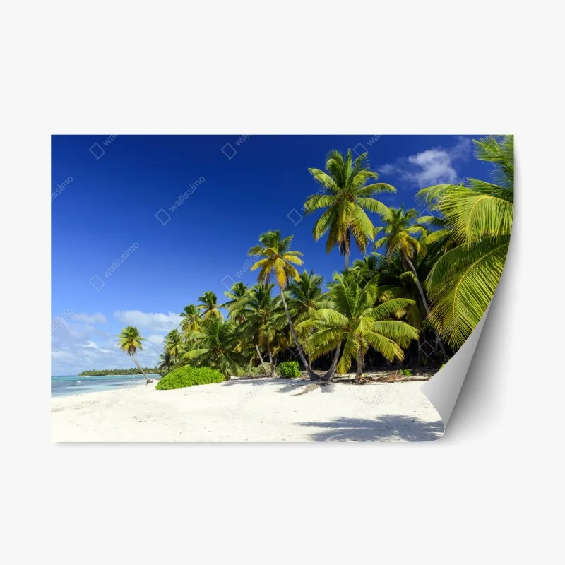 Natur – Wallnifity®