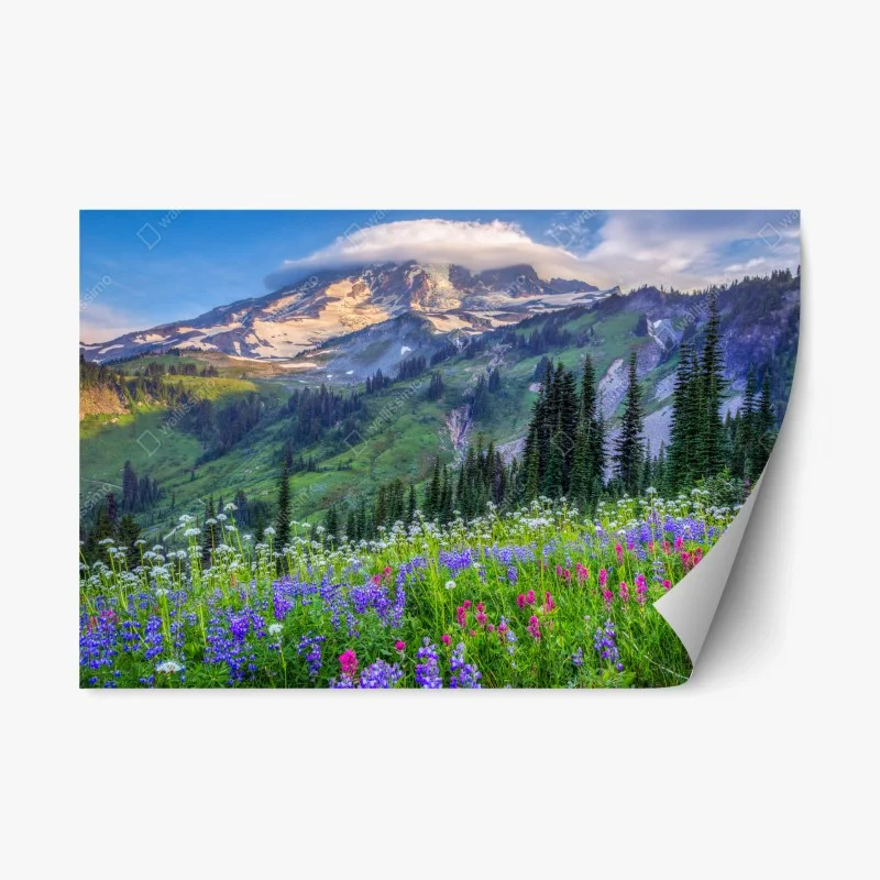 Natur – Wallnifity®