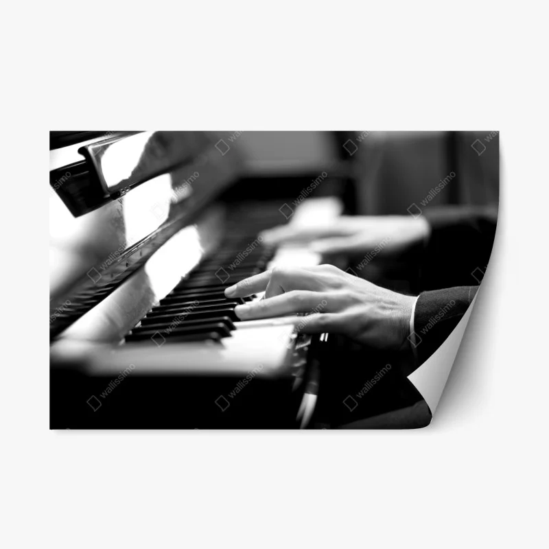 Kultur und Unterhaltung – Wallnifity®