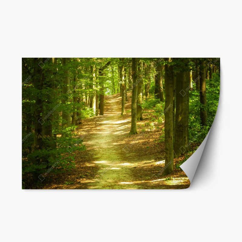 Wohnzimmer – Wallnifity®