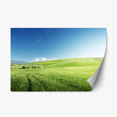 Repositionierbarer Aufkleber ruhige grüne wiesenlandschaft – Wallnifity®