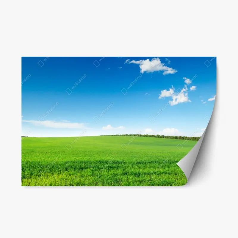Repositionierbarer Aufkleber ruhige grüne wiese unter blauem himmel