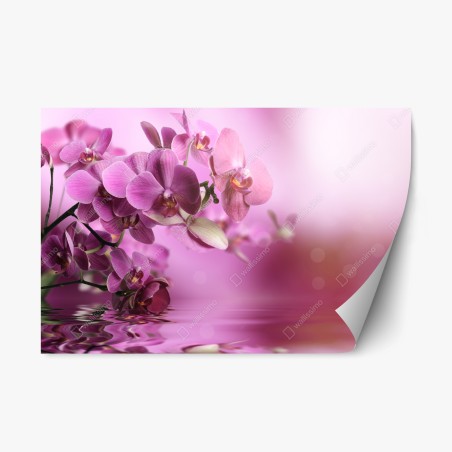 Repositionierbarer Aufkleber rosa orchideen spiegelung – Wallnifity®