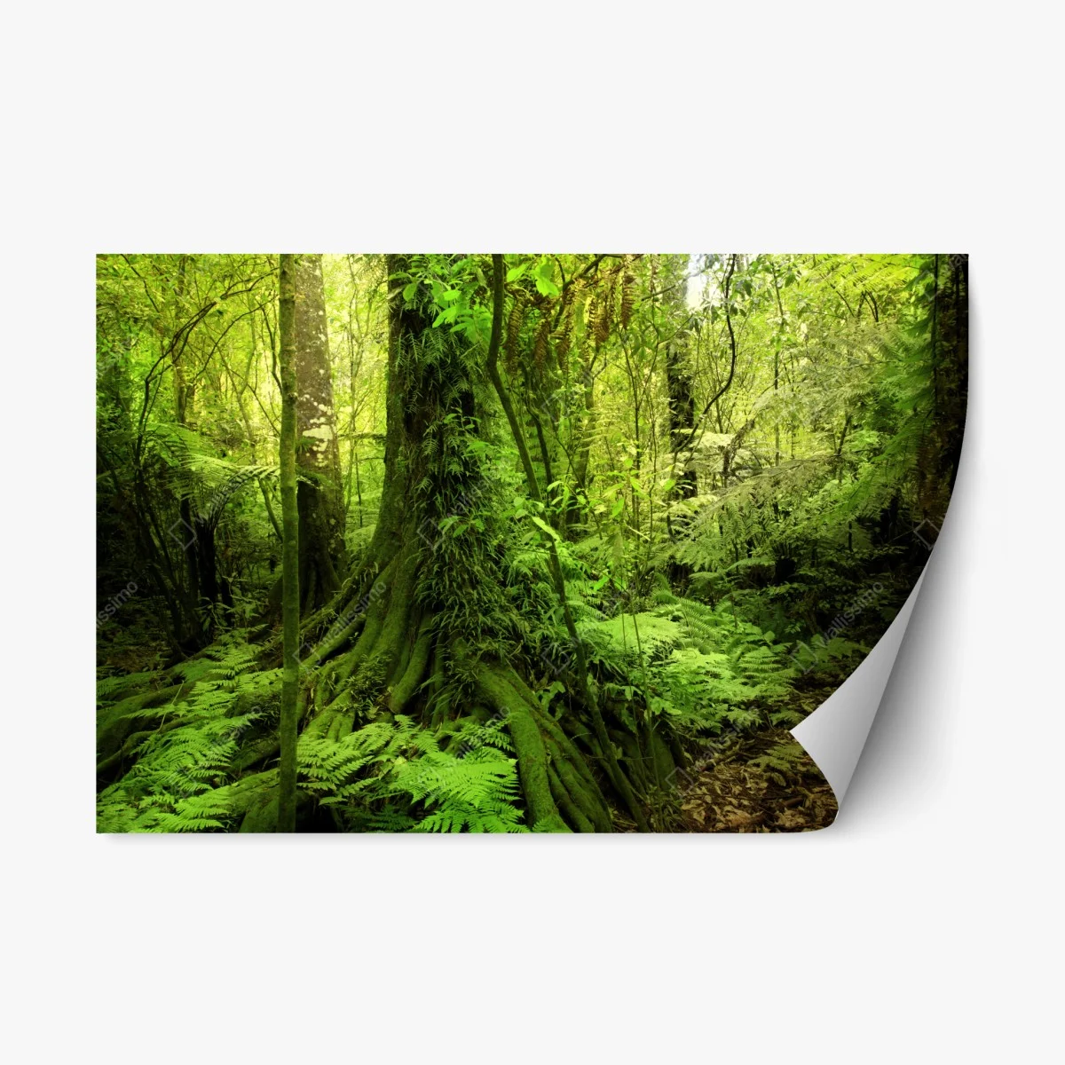 Repositionierbarer Aufkleber üppiger tropischer dschungel – Wallnifity® Repositionierbarer Aufkleber üppiger tropischer dschungel – Wallnifity®