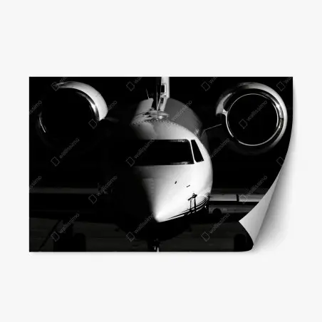 Repositionierbarer Aufkleber monochrome frontalansicht eines privatjets – Wallnifity®
