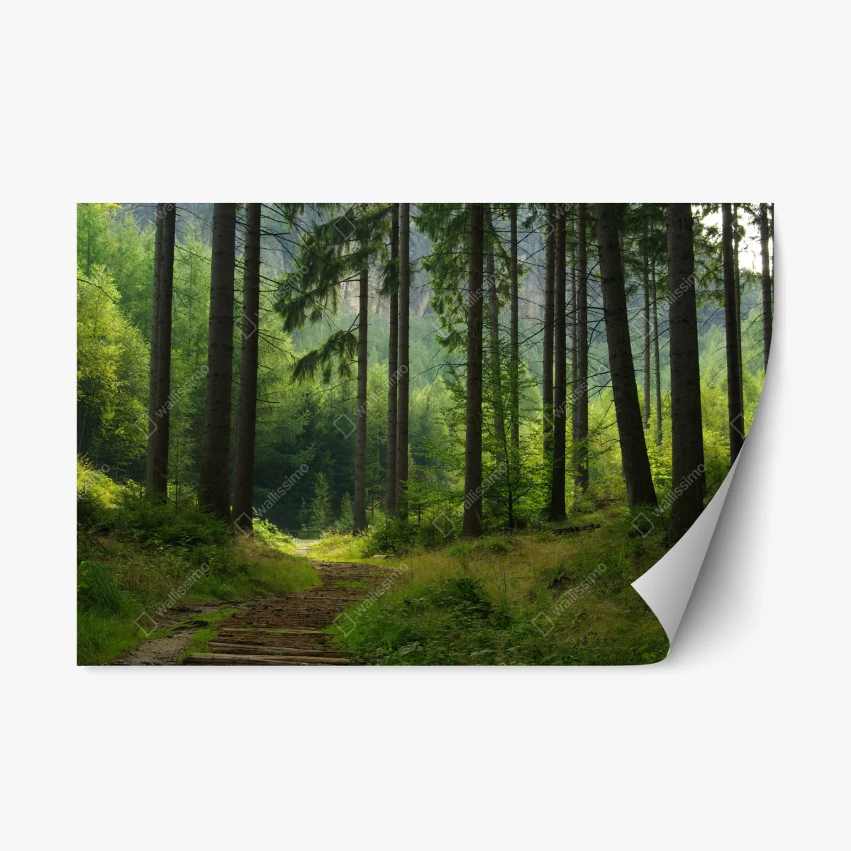 Repositionierbarer Aufkleber ruhiger waldpfad – Wallnifity® Repositionierbarer Aufkleber ruhiger waldpfad – Wallnifity®