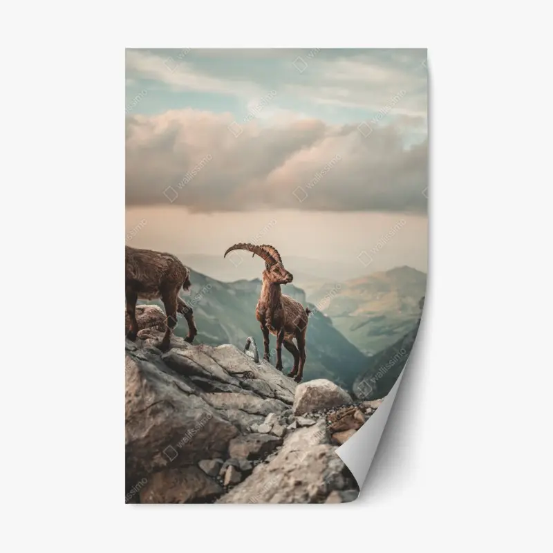 Berge – Wallnifity®