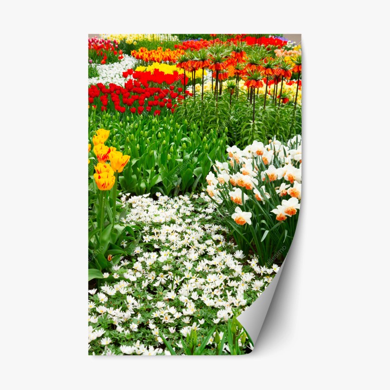 Blumen & Pflanzen – Wallnifity®