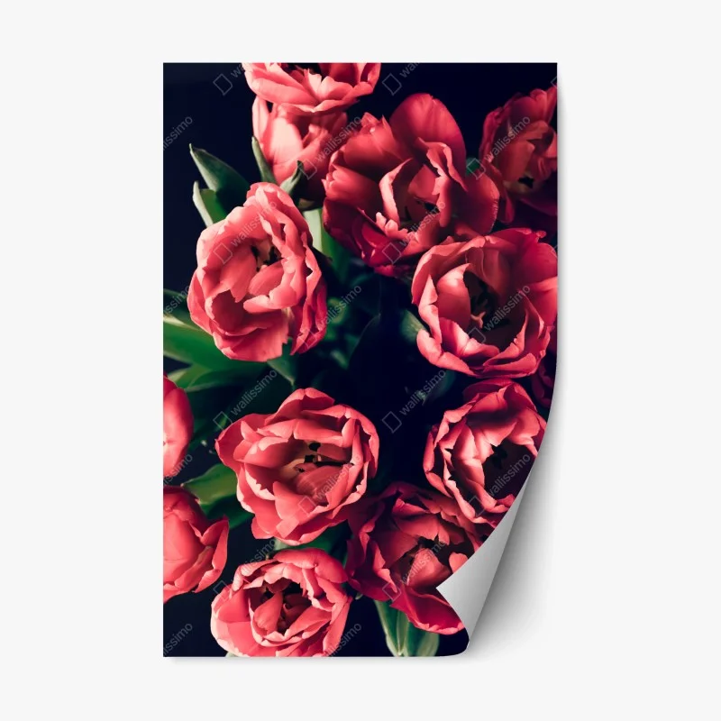 Repositionierbarer Aufkleber stimmungsvolles rosa tulpenbukett