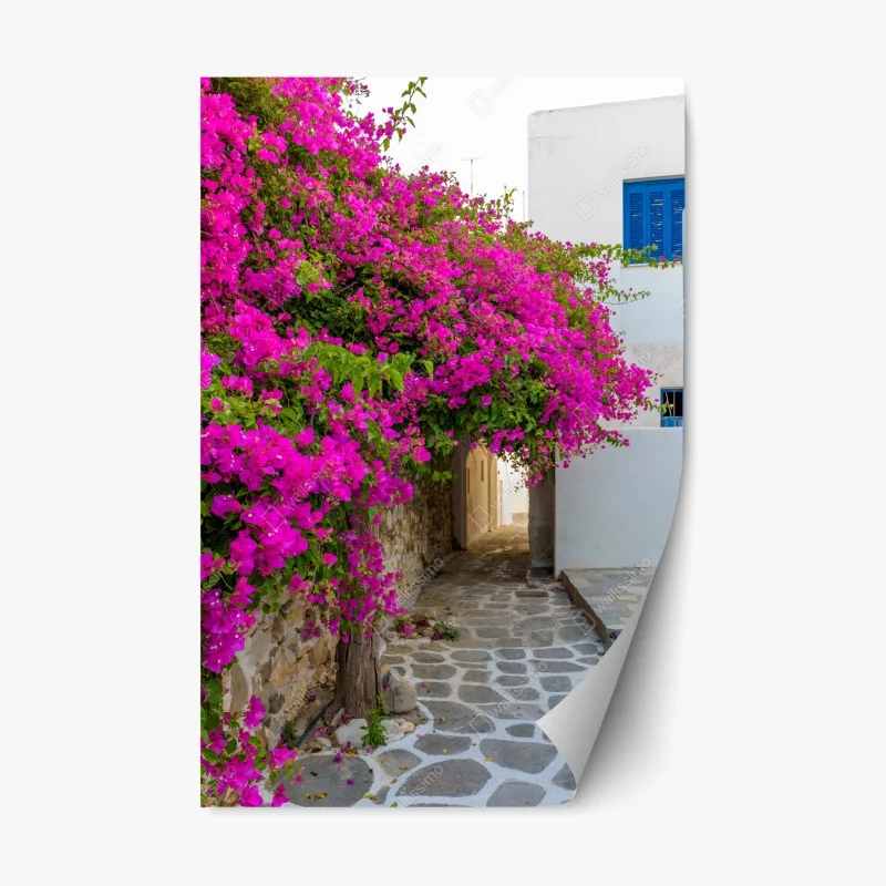 Repositionierbarer Aufkleber blühende bougainvillea in Naousa gasse
