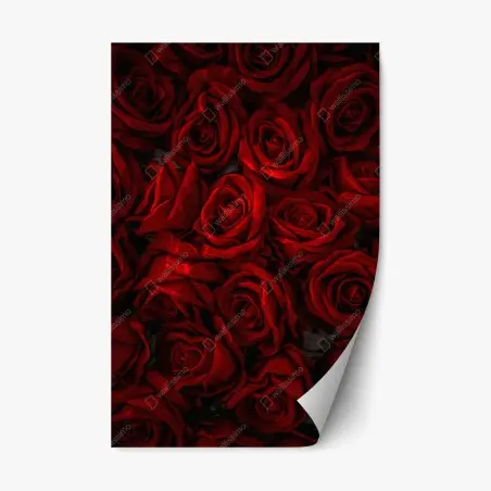 Repositionierbarer Aufkleber intensive rote rosen nahaufnahme – Wallnifity®
