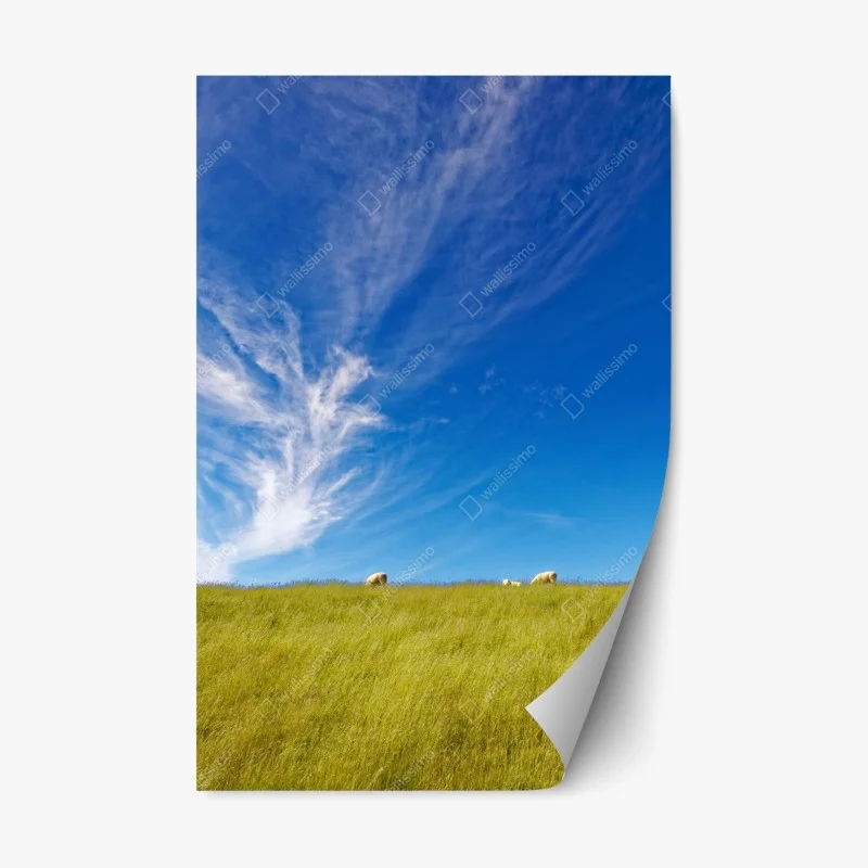 Natur – Wallnifity®