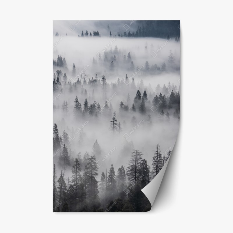 Aufkleber – Wallnifity®
