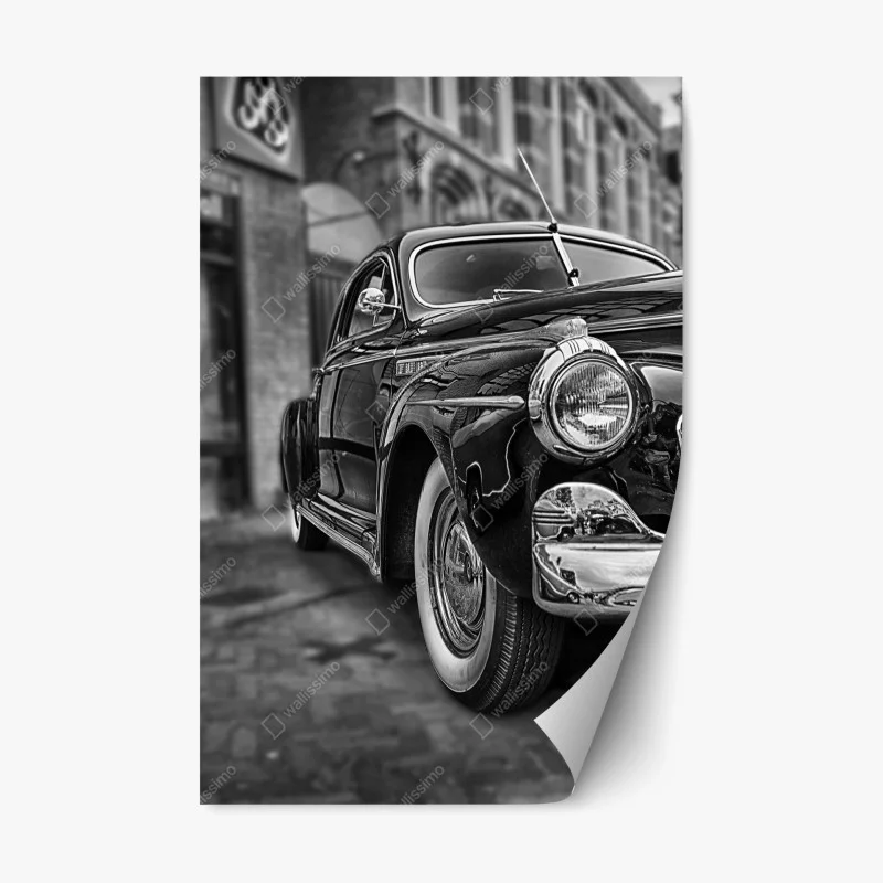 Fahrzeuge – Wallnifity®