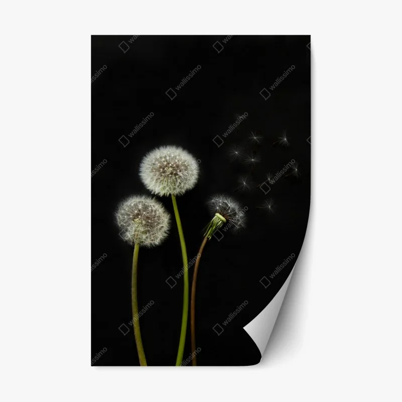 Schlafzimmer – Wallnifity®