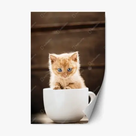 Repositionierbarer Aufkleber rötliches kätzchen in einer teetasse – Wallnifity®