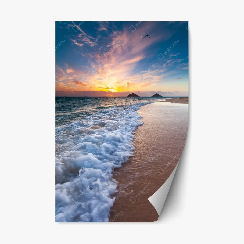 Strand – Wallnifity®